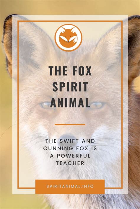 Fox Spirit Animal Meaning Spirit Animal Spirit Animal Meaning Fox