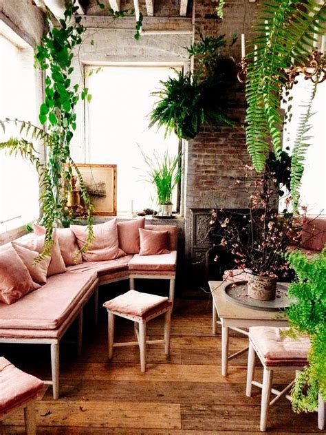 20 Schönsten Zimmerpflanzen Die Ihr Zuhause Schön Aussehen Lassen