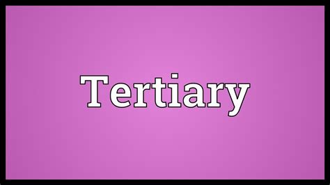 Tertiary Meaning Youtube