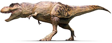 중계 두림과학학원 티렉스보다 2000만년 전 출현 ‘도플갱어 공룡 확인됐다 네이버 블로그