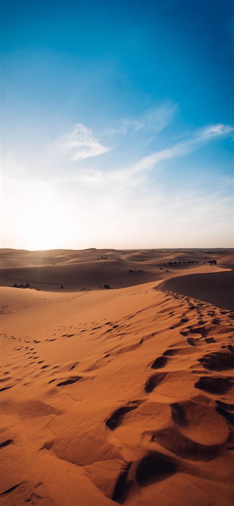 Sahara Desert Wallpaper For Iphone 11 Pro Max X 8 7 6 Free