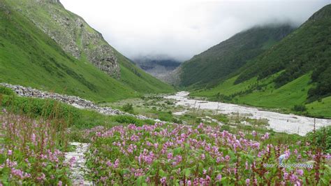 Valley Of Flowers India National Park Trekking And Tourism Guide 2023