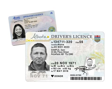 Provincial Drivers Licence Renewals
