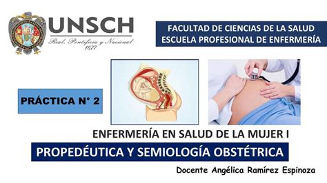 Propedéutica Y Semiología Obstétrica Armando Udocz