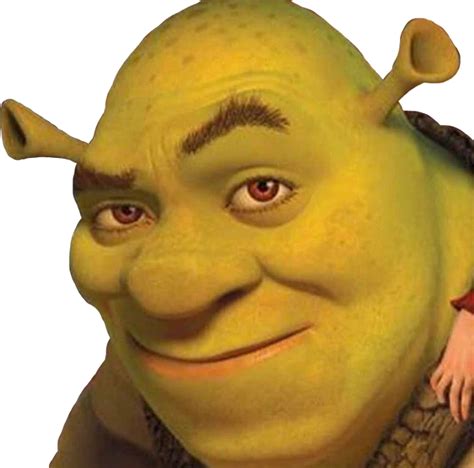 Shrek Thinking Close Up Face Png With Vivid Colors For Projects