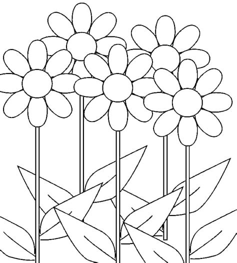 daisy coloring pages for adults