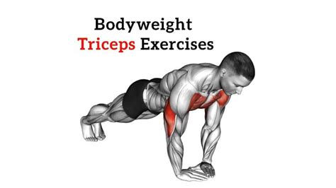 Best Tricep Workout At Home Without Equipment For Bigger Arms