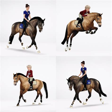 18 Show Jumping Training Poses For Horses Adults And Kids Download