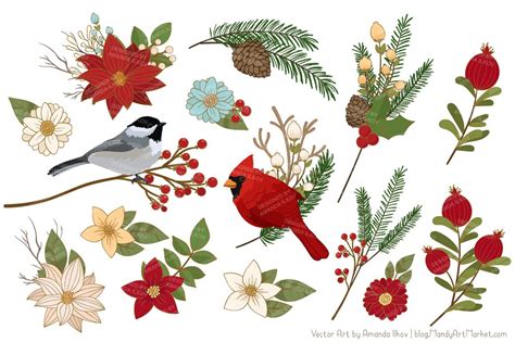 Christmas Birds & Flowers Vectors | Christmas bird, Christmas clipart, Christmas vectors