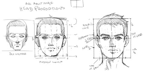 Head Proportions Male Front View By Jeteffects On Deviantart Head