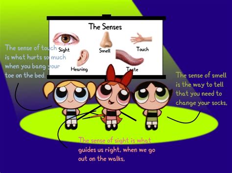 Ppg Animaniacs Senses Song Powerpuff Girls Fan Art 40577563