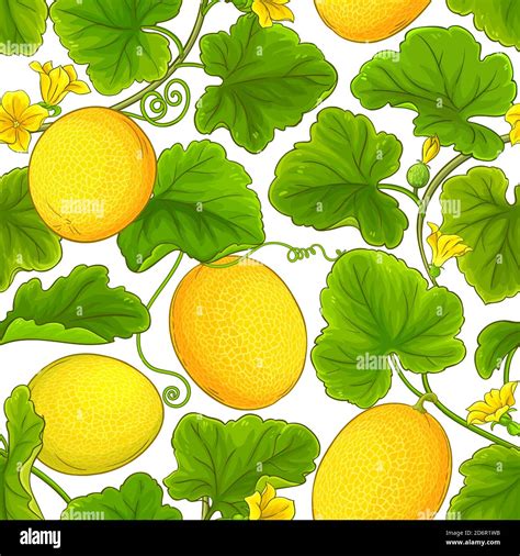 Melon Vector Pattern Stock Vector Image And Art Alamy