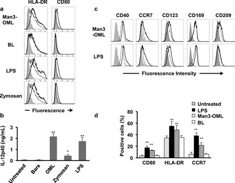 Activation Of Pma Stimulated Thp 1 Cells By Man3 Oml Thp 1 Cells Were