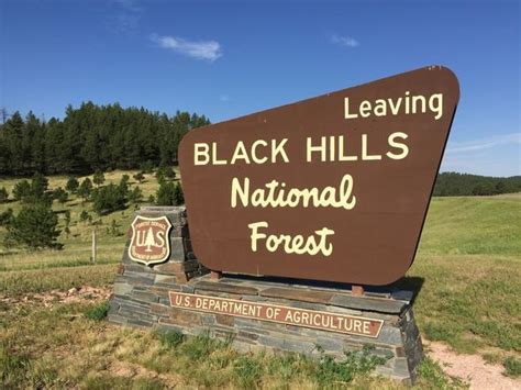 Best Atvutv Trails In The Black Hills Of South Dakota Utv Driver