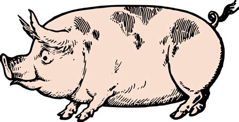 Cute Vintage Pig Clip Art And Stock Vector Oh So Nifty Vintage Graphics
