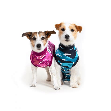 Many new pet surgery recovery suits make amputation healing easier. RECOVERY SUIT® DOG - Suitical