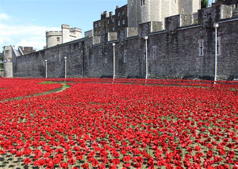Poppies Surround The Tower Of London To Commemorate World War I