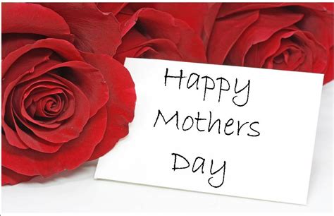 Mother's day is celebrated on different days and dates around the world. red world: MOTHERS DAY SPECIAL IMAGES