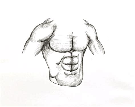 How To Draw Abs Easy For Beginners Step By Step Full Video Tutorial This Drawing Is Very Easy