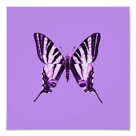 Purple Butterfly Poster Butterfly Poster Purple