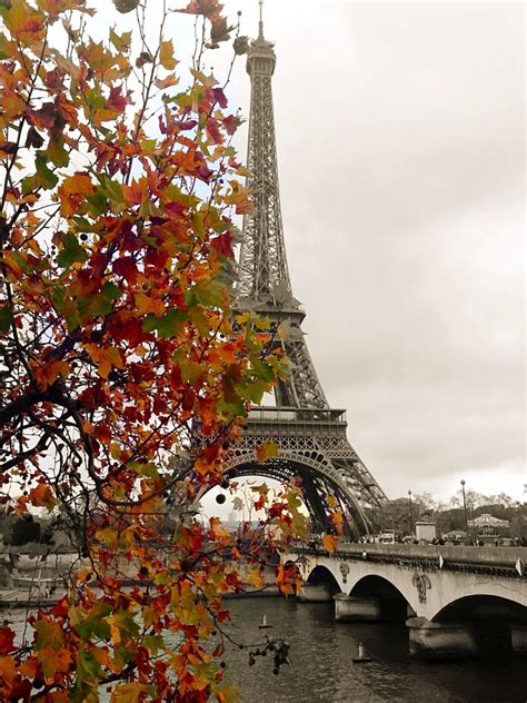Another View Of The Eiffel Tower In Autumn Eiffel Tower Tower Eiffel