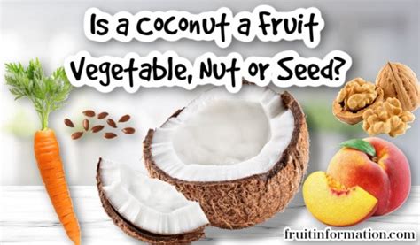 Is A Coconut A Fruit Or Vegetable Or Nut Or Seed