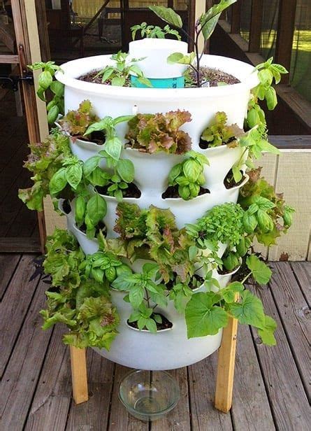 Grow Your Own Food 10 Gardening Ideas For The Beginner