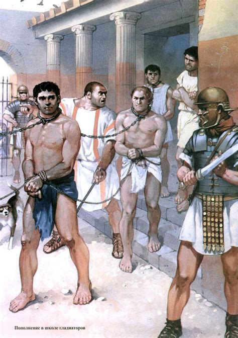 Slaves Roman History Roman Gladiators Ancient Rome