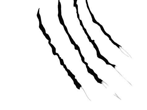 Download Claw Scratches Clipart Hq Png Image Freepngimg