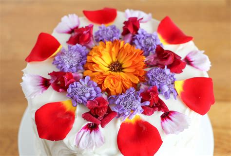 Craftsy Com Express Your Creativity Edible Flowers Cake Flower