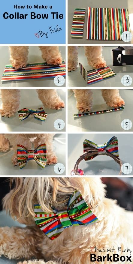 How To Make A Collar Bow Tie Best Part Is The Pup Helps Diy