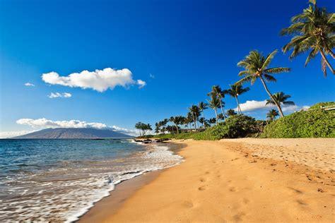 The Best Beaches In Maui Top Maui Travel Best Beac Vrogue Co
