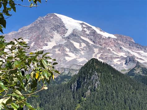 3 Day Seattle Mt Rainier And Olympic National Park Tour From Seattle