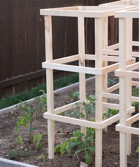 Diy Wooden Tomato Cages Tomato Cages Survival Gardening Fruit Cage