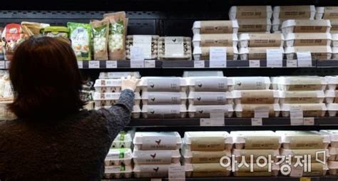 살충제 계란 파동 식품안전 불신 팽배소비심리 악화 우려 네이트 뉴스