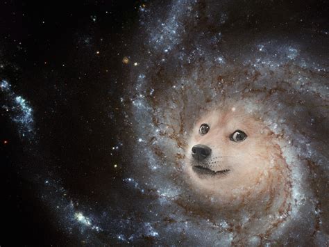 This rule has been expanded to cover 'forced' doge posts that feature the original 'doge' image. 48+ Doge Space Wallpaper on WallpaperSafari