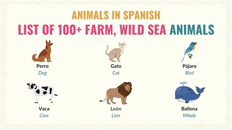 Animals In Spanish List Of 100 Farm Wild And Sea Animals