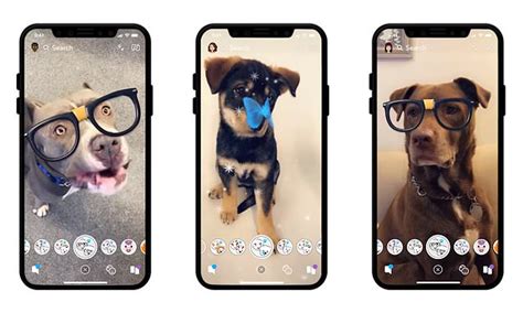 Snapchat Adds Filters For Your Dog Including Matching Ar Lenses Daily