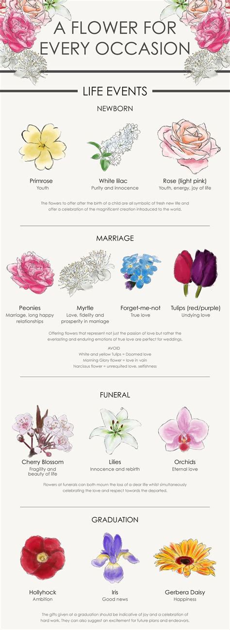 A Flower For Every Occasion Your Complete Guide Flower Meanings