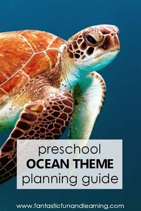 Ocean Theme Planning Playtime Ocean Theme Preschool O