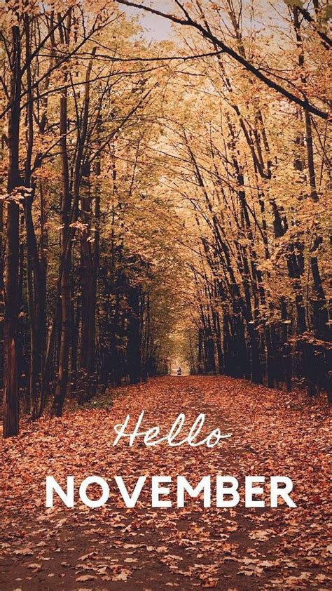 Fall Weather Wallpaper ~ 1001 Ideas To Decorate Your Screen With A