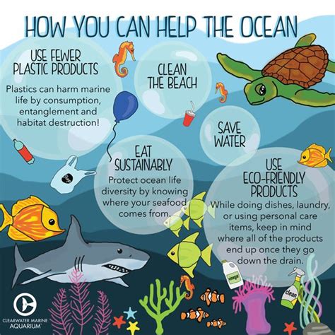 Six Ocean Friendly Habits To Help Protect Marine Life Clearwater