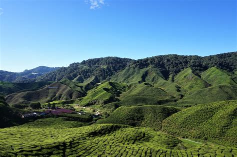 Bypass being planned to reduce cameron highlands' traffic congestion. Cameron Highlands, Malaysia - A Travel Guide | Apenoni