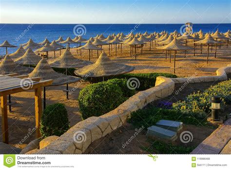A Row Of Straw Umbrellas To Protect Against Overheating On A Sandy Beach Against A Blue Sky And