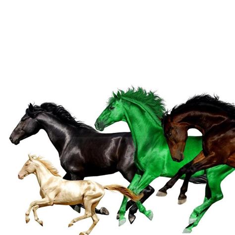 Old Town Road Roblox Code Free