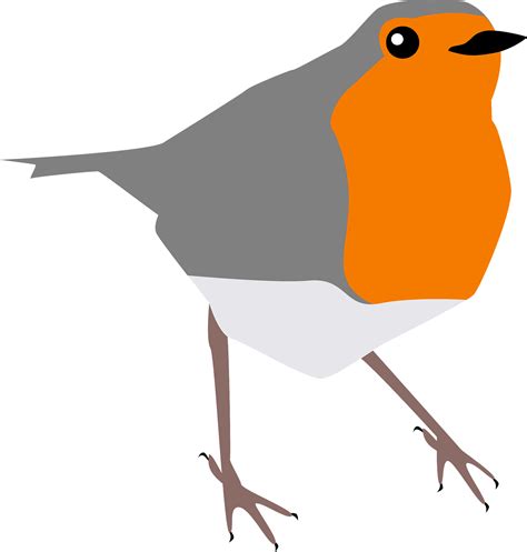 American Robin Bird Illustration Royalty Free Svg Cliparts Clip Art