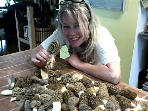 Laccaria longipes is common with black spruce in bogs. On The Hunt For The Elusive Morel Mushroom In Ohio's ...