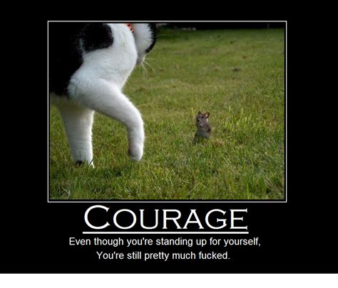 Courage Doesnt Always Mean Victory Funny Animals Funny Images