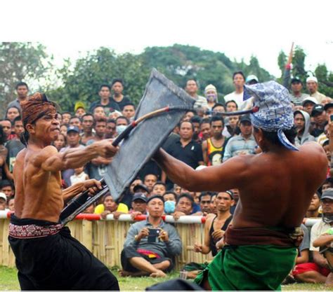 Peresean Pertarungan Tradisional Khas Sasak Lombok Pariwisata Lombok