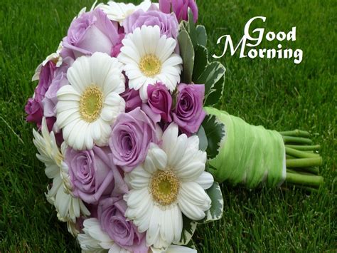 Maybe you would like to learn more about one of these? Good Morning Sending U Flower